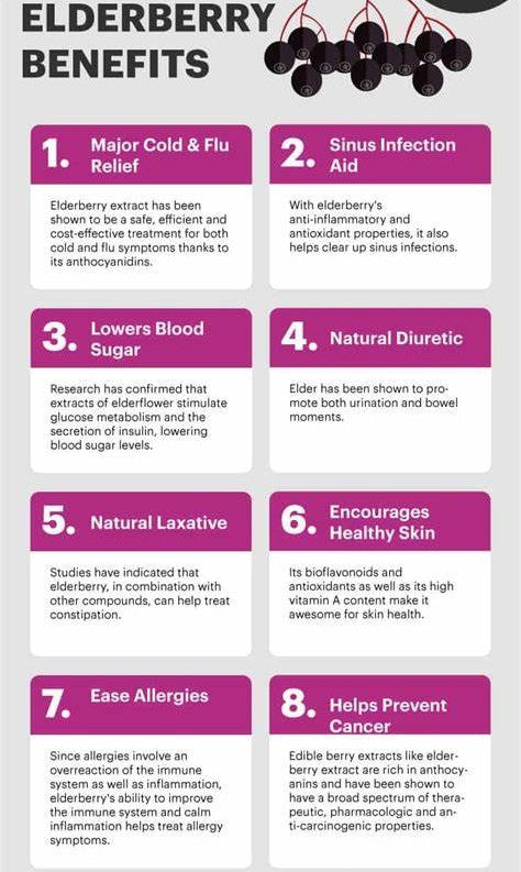 Organic Elderberry Syrup Kit ~ Dried Herbs ~ Earthly Elderberry ~ DIY Elderberry Syrup