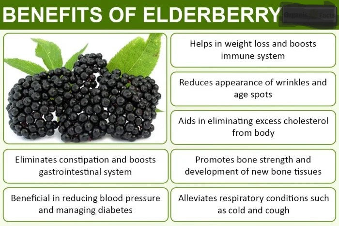 Organic Elderberry Syrup Kit ~ Dried Herbs ~ Earthly Elderberry ~ DIY Elderberry Syrup
