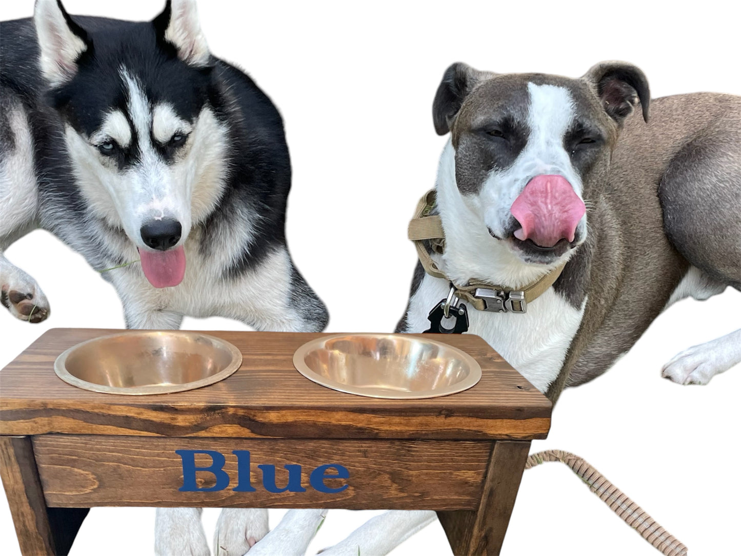 Dog Bowl Stand - Dog Feeder - Dog Bowl- Elevated Dog Bowl - Raised Dog Bowl - Personalized Dog Bowl - Dog